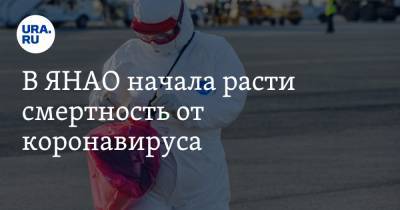 В ЯНАО начала расти смертность от коронавируса - ura.news - Ноябрьск - окр. Янао