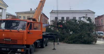 В центре Дубно установили елку, срубленную на кладбище (фото, видео) - focus.ua - Ровенская обл. - Дубно
