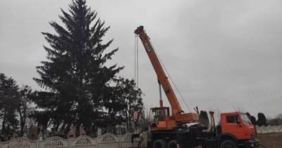 В Дубно главную новогоднюю елку привезли с кладбища (ВИДЕО) - dsnews.ua - Дубно