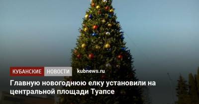 Главную новогоднюю елку установили на центральной площади Туапсе - kubnews.ru - Приморье край - Туапсе