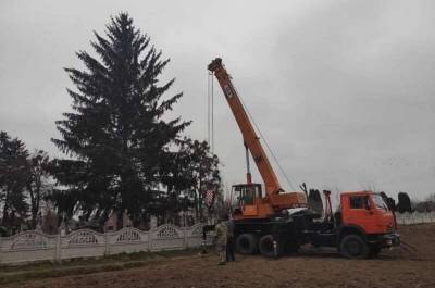 «Все в землю уйдем». На Ровненщине в центре города установили елку с кладбища - sharij.net - Украина - Ровненская обл.