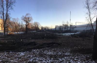 В Кунцево вырубили рощу с многовековыми дубами - mskgazeta.ru - район Кунцево