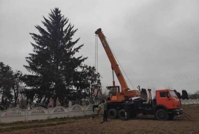 Жители Дубно обиделись на мэра за то, что привез новогоднюю елку с кладбища - kp.ua - Ровенская обл. - Дубно