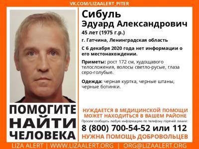 В Гатчине без вести пропал 45-летний мужчина - ivbg.ru