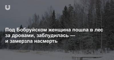 Под Бобруйском женщина пошла в лес за дровами, заблудилась — и замерзла насмерть - news.tut.by - Бобруйск