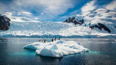 Как изменится наша планета когда все ледники растают » Тут гонева НЕТ! - skuke.net