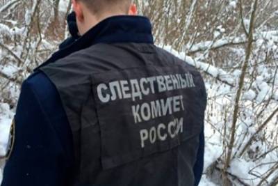 Семимесячная девочка умерла из-за уснувшей с ней на улице пьяной россиянки - lenta.ru - респ.Тыва - Кызыл