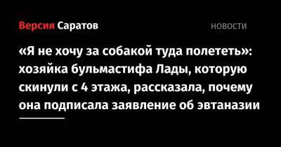 «Я не хочу за собакой туда полететь»: хозяйка бульмастифа Лады, которую скинули с 4 этажа, рассказала, почему она подписала заявление об эвтаназии - nversia.ru
