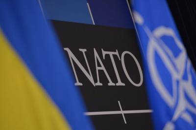 Уникальные разработки НАТО: от воздушных шаров в стратосфере до пластырей, заживляющих раны - news.24tv.ua - Бельгия - Япония - Испания