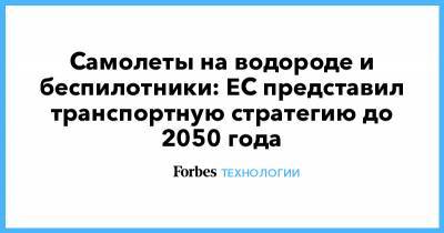 Илоном Маский - Самолеты на водороде и беспилотники: ЕС представил транспортную стратегию до 2050 года - forbes.ru