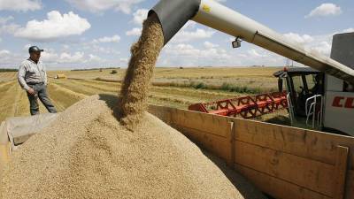 Эдуард Зернин - В России допустили введение пошлины на экспорт пшеницы - iz.ru