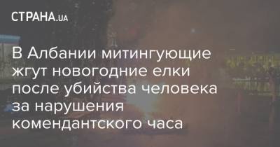 В Албании митингующие жгут новогодние елки после убийства человека за нарушения комендантского часа - strana.ua - Албания