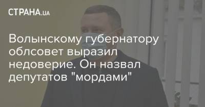 Юрий Погуляйко - Волынскому губернатору облсовет выразил недоверие. Он назвал депутатов "мордами" - strana.ua