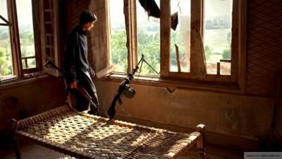 Бандиты расстреляли журналистку с водителем в Афганистане - inforeactor.ru - Афганистан - Джелалабад