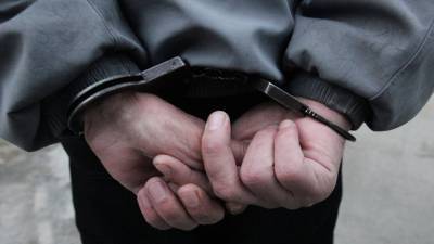 В Россию из Испании экстрадировали обвиняемого в растрате - russian.rt.com - Москва - Испания