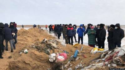В 7,2 млрд тенге оценили ущерб экологии от свинофермы в Актюбинской области - informburo.kz - Актобе - Актюбинская обл.