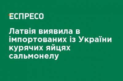 Латвия обнаружила в импортируемых из Украины куриных яйцах сальмонеллу - ru.espreso.tv - Литва - Латвия