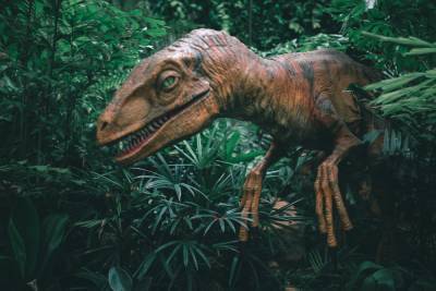 Роботизированные динозавры появятся в зоопарке Винницы: фото - 24tv.ua - Китай