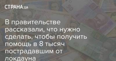 Владимир Зеленский - В правительстве рассказали, что нужно сделать, чтобы получить помощь в 8 тысяч пострадавшим от локдауна - strana.ua