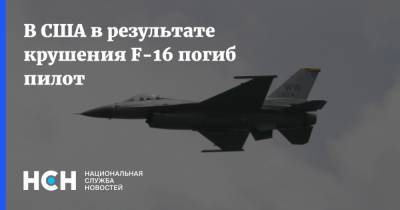 В США в результате крушения F-16 погиб пилот - nsn.fm - США - штат Висконсин - шт. Мичиган