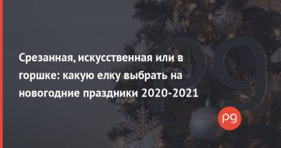 Срезанная, искусственная или в горшке: какую елку выбрать на новогодние праздники 2020-2021 - thepage.ua
