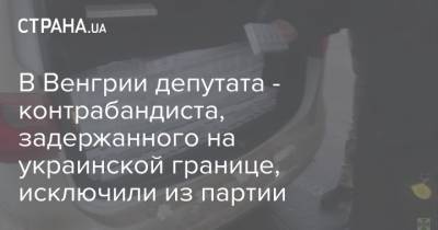 В Венгрии депутата - контрабандиста, задержанного на украинской границе, исключили из партии - strana.ua - Венгрия