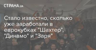 Мирча Луческу - Стало известно, сколько уже заработали в еврокубках "Шахтер", "Динамо" и "Заря" - strana.ua - Луческ