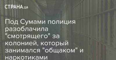 Под Сумами полиция разоблачила "смотрящего" за колонией, который занимался "общаком" и наркотиками - strana.ua