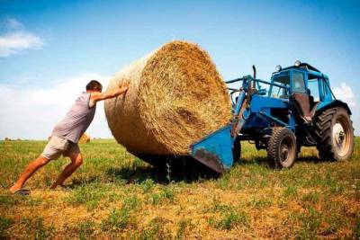 Агро - Украинские фермеры могут массово остановить работу - 24tv.ua