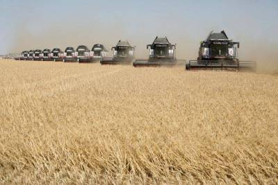 Дмитрий Антонов - Анастасий Тетеревлев - Власти РФ обсуждают пошлину на экспорт пшеницы около 2.000 р/т с 15 фев по 30 июн, решения еще нет -- источники - smartmoney.one - Москва - Россия