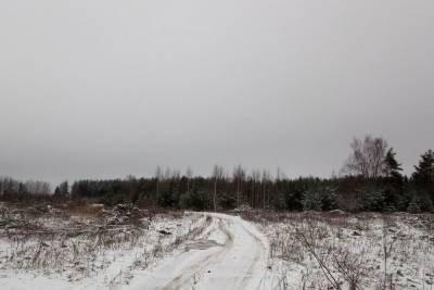 Владельцев земель в Ивановской области штрафуют за бесхозяйственность - mkivanovo.ru - Ивановская обл.