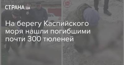 На берегу Каспийского моря нашли погибшими почти 300 тюленей - strana.ua - Махачкала - респ. Дагестан