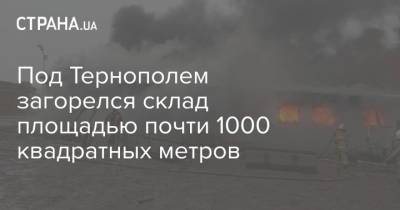 Под Тернополем загорелся склад площадью почти 1000 квадратных метров - strana.ua - Тернополь - Полтава - Гсчс