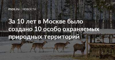 За 10 лет в Москве было создано 10 особо охраняемых природных территорий - mos.ru - Москва - Планы