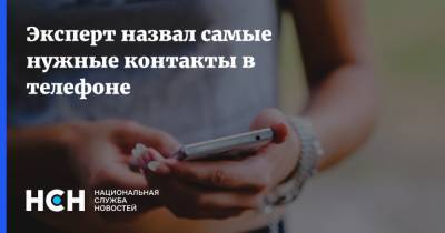 Владимир Зыков - Эксперт назвал самые нужные контакты в телефоне - nsn.fm