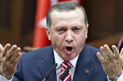 Ильхам Алиев - Политолог оценил воинственные заявления Эрдогана по Армении - infox.ru - Турция - Азербайджан - Ереван