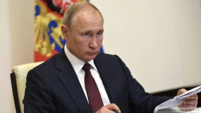 Владимир Путин - Путину понравилась идея создания археологического заповедника в Петербурге - polit.info - Санкт-Петербург - Петербург