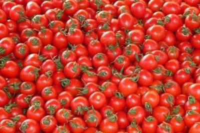 В Японии разрешили продавать ГМО-овощи - aif.ru - Япония - Аргентина