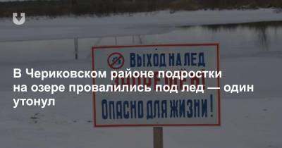 В Чериковском районе подростки на озере провалились под лед — один утонул - news.tut.by