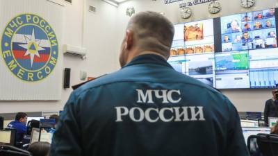 В Ленобласти объявились лже-сотрудники МЧС - dp.ru - Ленинградская обл.