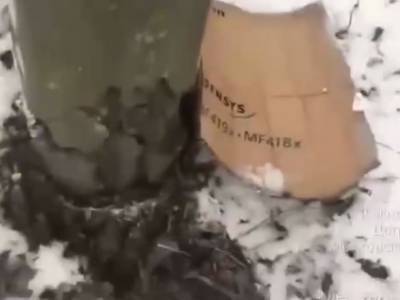 В России аварийный столб “отремонтировали” с помощью картона: видео - unn.com.ua - Россия - Украина - Киев - Московская обл.