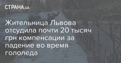 Жительница Львова отсудила почти 20 тысяч грн компенсации за падение во время гололеда - strana.ua - Львов