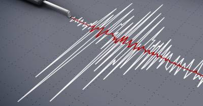 Землетрясение магнитудой 5,6 произошло в Чечне - ren.tv - респ. Чечня - район Урус-Мартановский