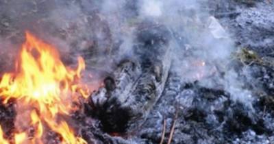 Под Хабаровском локализовали пожар на горящей две недели свалке - ren.tv - Хабаровский край - Хабаровск