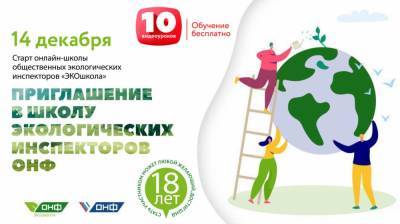 ОНФ открывает онлайн-школу общественных инспекторов - smi24.news
