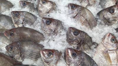 Александр Фомин - Взлет цен на рыбном рынке России объяснили успехом экспорта - politros.com