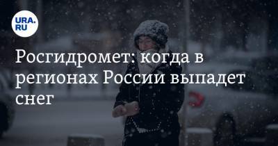 Юрий Варакин - Росгидромет: когда в регионах России выпадет снег - ura.news - Москва