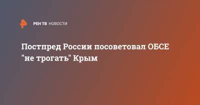Александр Лукашевич - Постпред России посоветовал ОБСЕ "не трогать" Крым - ren.tv - Украина - Крым
