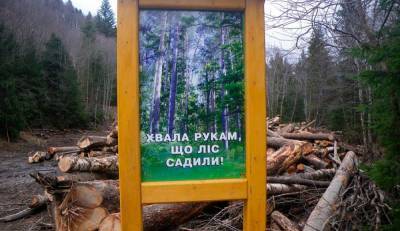 Еврокомиссия признала незаконным запрет на вырубку украинских лесов для поставок в ЕС - news-front.info - Украина - Брюссель