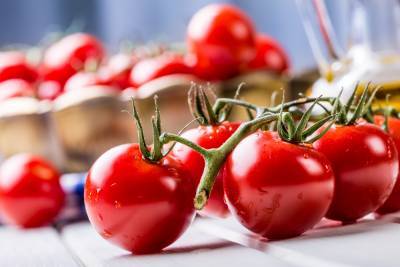 Япония одобрила продажу первых в стране генномодифицированных овощей: начали с помидоров - 24tv.ua - Япония